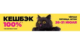 Что такое 100 процентный кэшбэк в Хендерсон