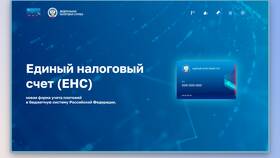 Что значит сальдо ЕНС в налоговом кабинете в Хендерсон