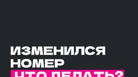 Как изменить номер телефона на портале Госуслуги в Хендерсон