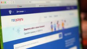 Как изменить роль в Госуслугах на руководителя в Хендерсон