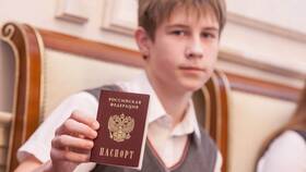 Как оформить гражданство РФ ребенку через Госуслуги в Хендерсон
