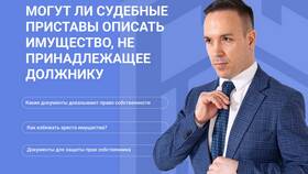 Как приставы описывают имущество должника в Хендерсон