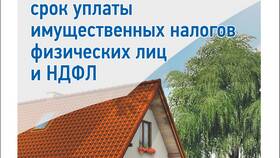 Как проверить взыскания от ФНС в Хендерсон