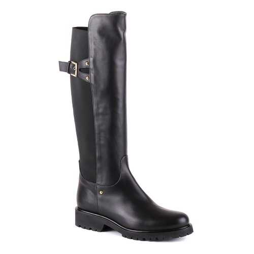 Сапоги женские Eliza di Venezia E8579 черные 40 RU в Хендерсон