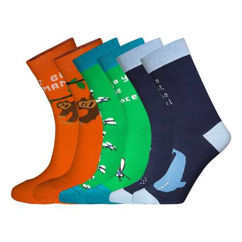 Подарочный набор носков женский big bang socks box3a1212 синий/зеленый/оранжевый 35-38 в Хендерсон
